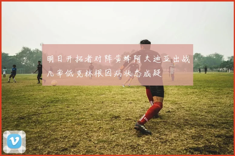 明日开拓者对阵黄蜂阿夫迪亚出战几率低克林根因病状态成疑