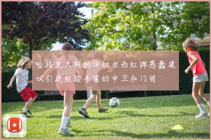 哈格里夫斯批评切尔西红牌愚蠢建议引进经验丰富的中卫和门将