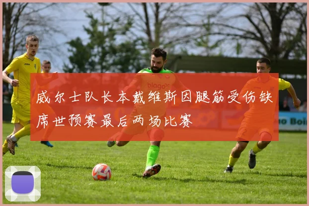 威尔士队长本戴维斯因腿筋受伤缺席世预赛最后两场比赛