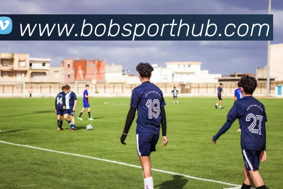 BOB体育平台生态图