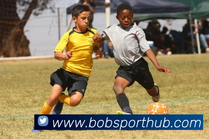 BOB体育APP 封面图